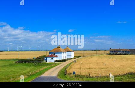 Fermes et pâturages, champs de belettes mûres et ferme éolienne dans le Distance vue de la route Lydd près du village de Camber, Little Cheyne court Wind Farm Beyond.UK Banque D'Images