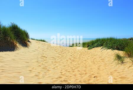 Dunes de plage de Camber Sands à une belle journée d'été vue des dunes au-dessus de Rye Bay, partie de la Manche.East Sussex, Royaume-Uni Banque D'Images