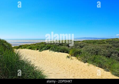 Dunes de plage de Camber Sands à une belle journée d'été vue des dunes au-dessus de Rye Bay, partie de la Manche.East Sussex, Royaume-Uni Banque D'Images