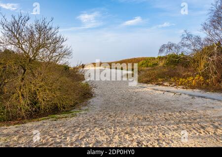Empreintes sur une plage de sable. Photo de Lomma Beach, comté de Scania, Suède Banque D'Images