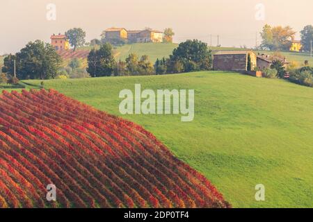 Vue automnale sur la campagne et les vignobles près de Levizzano Rangone. Castelvetro, province de Modène, Émilie-Romagne, Italie. Banque D'Images