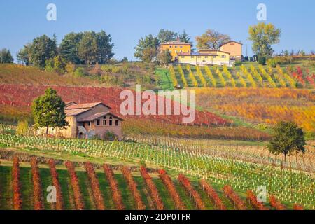 Vue automnale sur la campagne et les vignobles près de Levizzano Rangone. Castelvetro, province de Modène, Émilie-Romagne, Italie. Banque D'Images