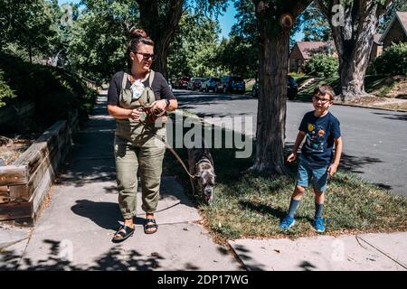 Mère, fils et chien à l'extérieur pour une promenade une journée ensoleillée Banque D'Images