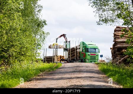 Crane loading logs on lorry Stock Photo