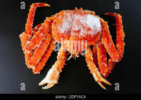 Crabe de Kamchatka sur fond noir Banque D'Images