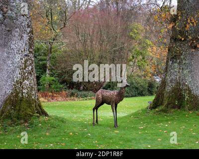 GREAT TORRINGTON, NORTH DEVON - 21 NOVEMBRE 2020 : une sculpture antilope de George Hider dans le jardin RHS, Rosemoor. Banque D'Images