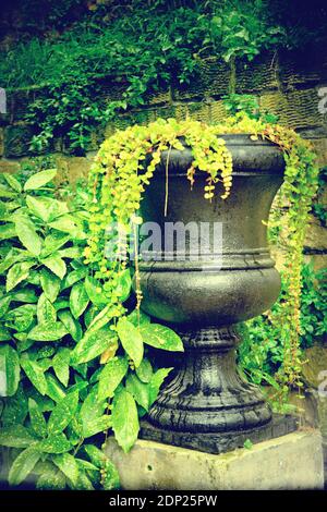 vase statue dans un parc vert Banque D'Images