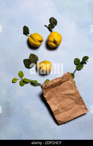 Poncez avec un sac à provisions en papier froissé, des pommes de coing jaunes mûres et des branches d'arbre vertes. Les fruits et les feuilles ont des imperfections naturelles, des taches et Banque D'Images