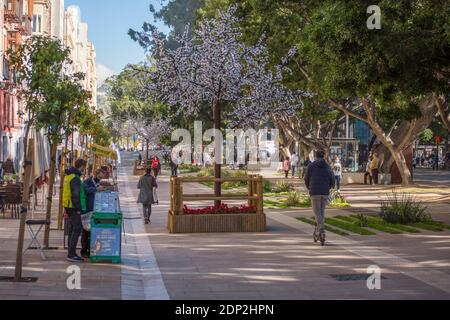 La ville de Malaga, après les travaux de construction, Alameda, principale rue piétonne récemment. Andalousie, Espagne Banque D'Images