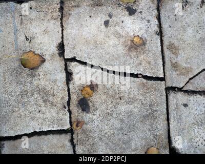 Feuilles d'automne tombées sur une chaussée rugueuse en béton gris Banque D'Images