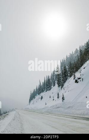 Vue d'hiver enneigée de l'autoroute 50 près de Monarch Pass, Sawatch Range, Colorado, États-Unis Banque D'Images