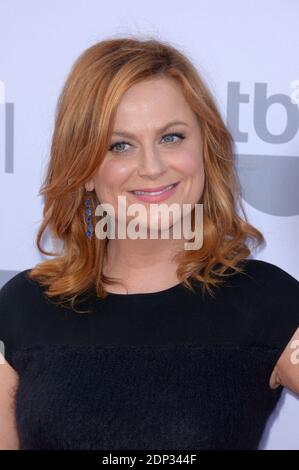 Amy Poehler attends the 2015 AFI Life Achievement Award Gala Tribute Honoring Steve Martin at the Dolby Theatre on June 4, 2015 in Los Angeles, CA, USA. Photo by Lionel Hahn/ABACAPRESS.COM Stock Photo