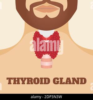 Glande thyroïde, illustration. Banque D'Images