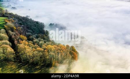 Vue aérienne par drone des arbres d'automne entourés de brouillard dans une vallée rurale. Powys, pays de Galles Banque D'Images