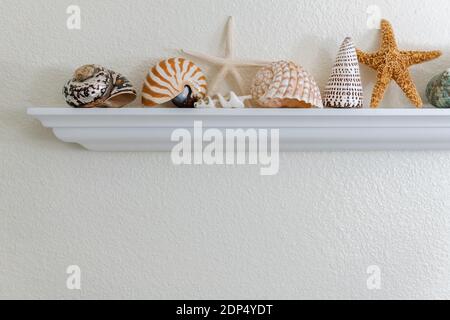 Décor tropical dans la salle de bains, coquillages sur une étagère en bois Banque D'Images