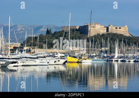 France, côte d'azur, Antibes, le port Vauban est dominé par le fort carré, ce port de plaisance compte 1642 places dont 19 pour les plus grandes unités du monde. Banque D'Images