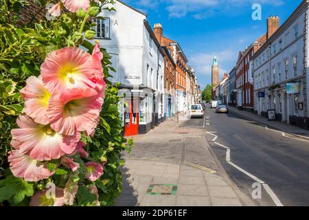 Vue sur la rue St Gilles et les fleurs d'été, Norfolk, Angleterre, Royaume-Uni, Europe Banque D'Images