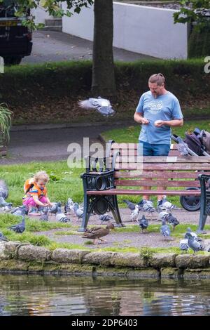 Un père et sa petite fille nourrissant des pigeons dans les jardins de Trenance à Newquay, en Cornouailles.