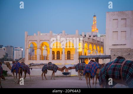 Camel Souk à Doha, Qatar Banque D'Images