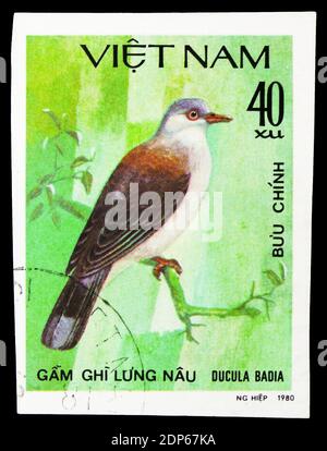 MOSCOU, RUSSIE - 26 SEPTEMBRE 2018 : un timbre imprimé au Vietnam montre le pigeon impérial de montagne (Ducula badia), série Doves, vers 1981 Banque D'Images