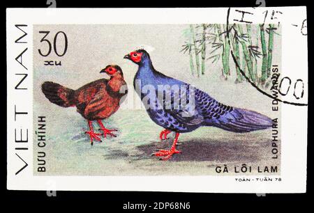 MOSCOU, RUSSIE - 26 SEPTEMBRE 2018 : un timbre imprimé au Vietnam montre le faisan d'Edwards (Lophura edwardsi), série de faisans, vers 1979 Banque D'Images
