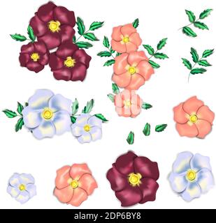 Ensemble de fleurs qui ont l'air d'être faites de soie. Il y a 3 couleurs des fleurs. Les fleurs ressemblent à des roses ou des rosehanches Illustration de Vecteur