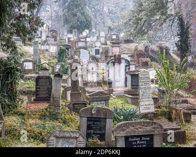 Sighisoara Roumanie - 11.26.2020: Tombes et pierres tombales dans le cimetière situé près de l'église sur la colline de Sighisoara. Banque D'Images