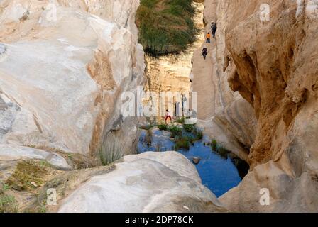 Canyon d'Ein Avdat - réflexion, Negev, Israël Banque D'Images