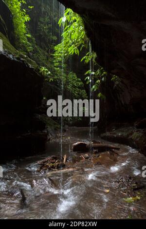 Suivez la rivière jusqu'à la cascade de Rowosari, sur les pentes du mont Raung, dans le quartier de Jember, à l'est de Java. Banque D'Images