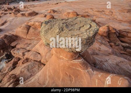 La piste Toadtabourets sur les Rimrocks de Paria dans le sud de l'Utah. Banque D'Images