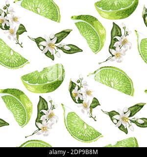 Motif sans couture dans les tons vert et marin avec tranches de citron vert et des fleurs d'agrumes dans une illustration graphique vectorielle réaliste Illustration de Vecteur