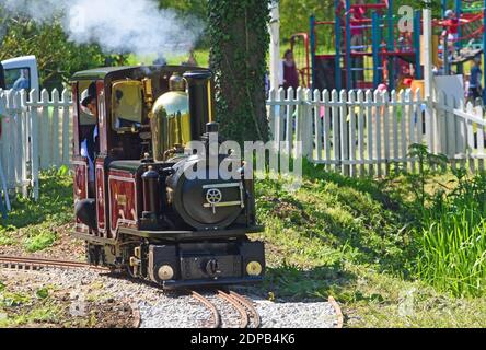 Petit train de vapeur à voie étroite sur les rails mobiles Banque D'Images