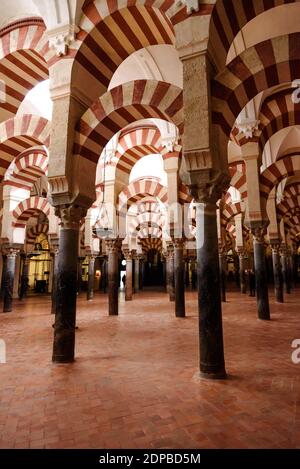 Colonnes dans la mosquée, mezquita de cordoue, Espagne Banque D'Images