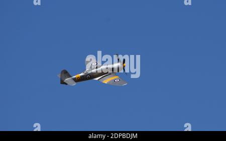 Hawker Sea Fury T 2.0 en vol. Banque D'Images