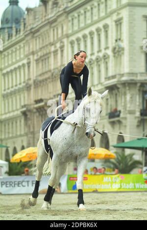 Vienne, Autriche. 14 juin 2007. Journées de bien-être des animaux à Vienne à Rathausplatz. Vaiting sur un cheval en mouvement. Banque D'Images