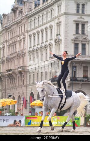 Vienne, Autriche. 14 juin 2007. Journées de bien-être des animaux à Vienne à Rathausplatz. Vaiting sur un cheval en mouvement. Banque D'Images