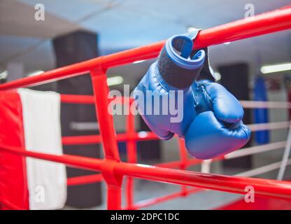 Paire de gants de boxe bleus accroché à l'anneau Banque D'Images