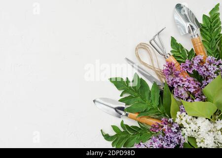 Bordure de jardinage avec fleurs plante et outils de jardin sur fond de pierre blanche, vue de dessus, place pour le texte Banque D'Images