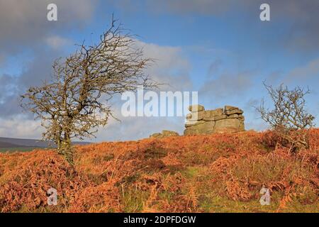 Vue sur les stocks de roches de Saddle Tor Dartmoor Devon, Royaume-Uni Banque D'Images