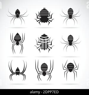 Groupe vectoriel d'araignées sur fond blanc. Insectes animaux. Icône araignées. Illustration vectorielle superposée facile à modifier. Illustration de Vecteur