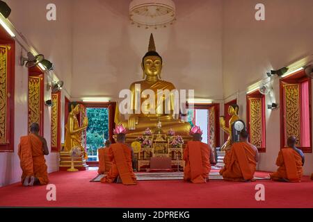 Les moines se sont assis pour des prières du soir devant une statue de Bouddha à Wat Mongkol Nimit (Mongkon Nimit) dans la ville de Phuket (ville de Phuket), Phuket, Thaïlande Banque D'Images