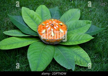 Gaentra ka halwa décoré de fruits secs noix servi dans un bol transparent avec des feuilles sur l'herbe verte. Dessert sucré indien Pakistanais népalais Bagladeshi Banque D'Images