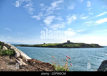 Vue imprenable sur l'île Dalkey depuis Sorrento point, Dalkey, Dublin, Irlande. Ciel bleu et jour ensoleillé. Fleurs de trèfle au premier plan. Banque D'Images