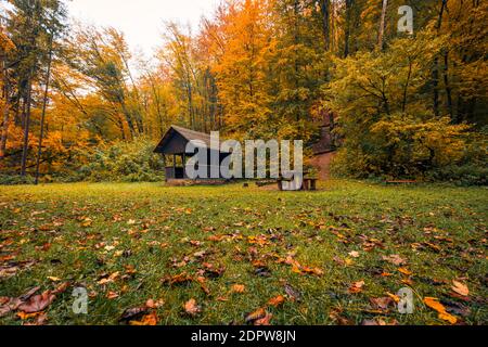 Scène d'automne avec cabane en bois. Nature relaxante, vue sous angle, feuilles d'arbre colorées. Paysage de montagne d'automne, détendez-vous paisible paysage de la nature. Randonnée Banque D'Images