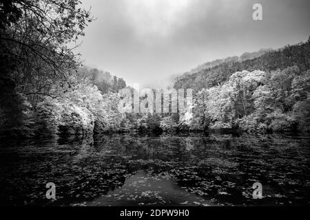 Lac de montagne brumeux en noir et blanc. Lac d'automne spectaculaire avec processus artistique monochrome. Beaux-arts, calme lac reflet de l'eau Banque D'Images