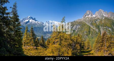 Larches en couleur automnale, panorama de montagne depuis l'aiguille des posettes, sommets de l'aiguille verte, de l'aiguille du midi et du Mont blanc, Chamonix Banque D'Images