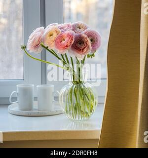 Buttertasses persan rose sur un seuil de fenêtre en pierre artificielle blanche derrière un rideau. Deux tasses blanches avec thé sont sur le plateau rond Banque D'Images