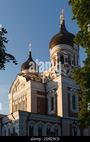 Cathédrale Alexandre Nevsky. Heure d'été au coucher du soleil. Banque D'Images