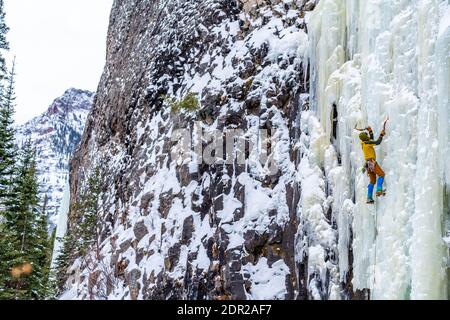 Les grimpeurs de glace profitent d'une journée à l'extérieur pour grimper sur des cascades gelées Hyalite Canyon Banque D'Images