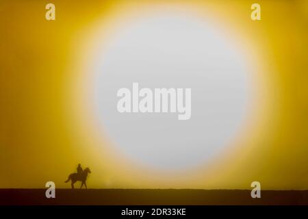 Newmarket, Royaume-Uni. 20 décembre 2020. Le soleil se lève un matin de décembre alors que les chevaux de course sont mis à l'épreuve sur les Gallops à Newmarket, Suffolk. Crédit : Headlinephoto/Alamy Live News. Banque D'Images